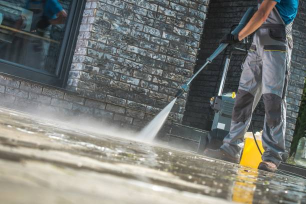 Animal Enclosure Cleaning in North Branch, MI