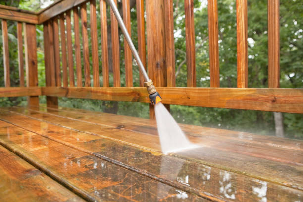 Boat and Dock Cleaning in North Branch, MI